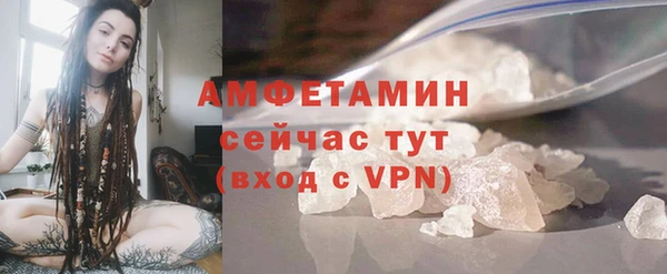 метадон Алексин