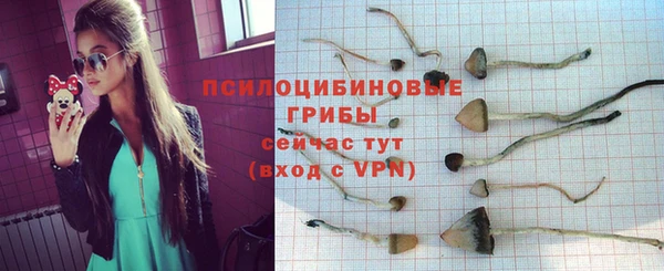 спайс Алзамай