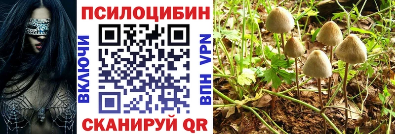 Псилоцибиновые грибы GOLDEN TEACHER  купить наркотик  darknet телеграм  Пущино 