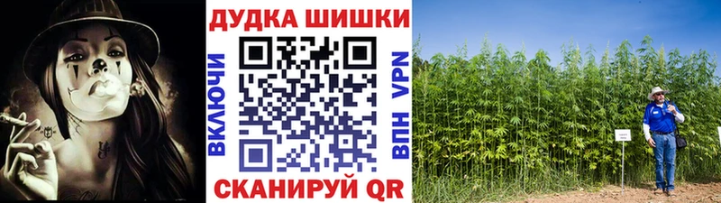 Каннабис ГИДРОПОН  Пущино 